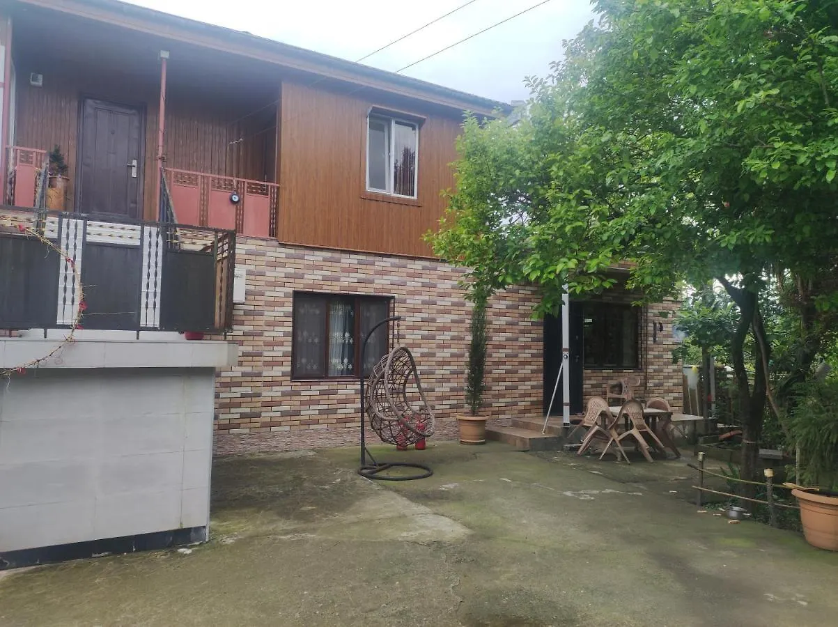 Private House In Batumi Pensionat 0*,  Georgien