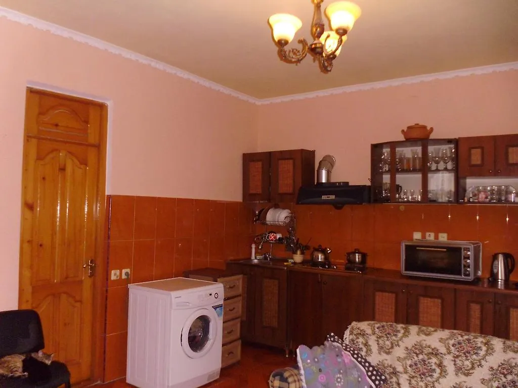 Private House In Batumi Pensionat Gæstehus